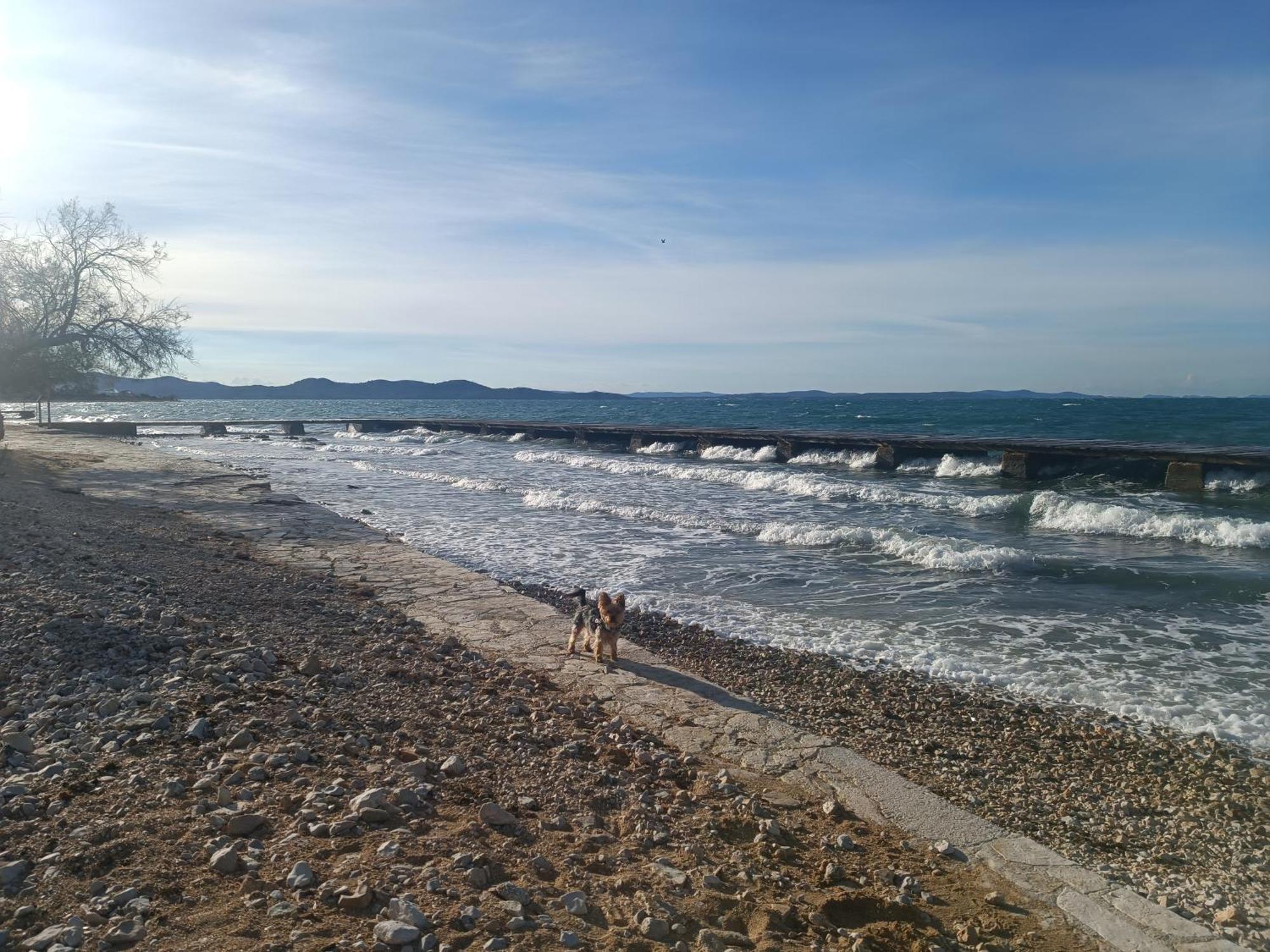 Zadar Beach Apartments מראה חיצוני תמונה