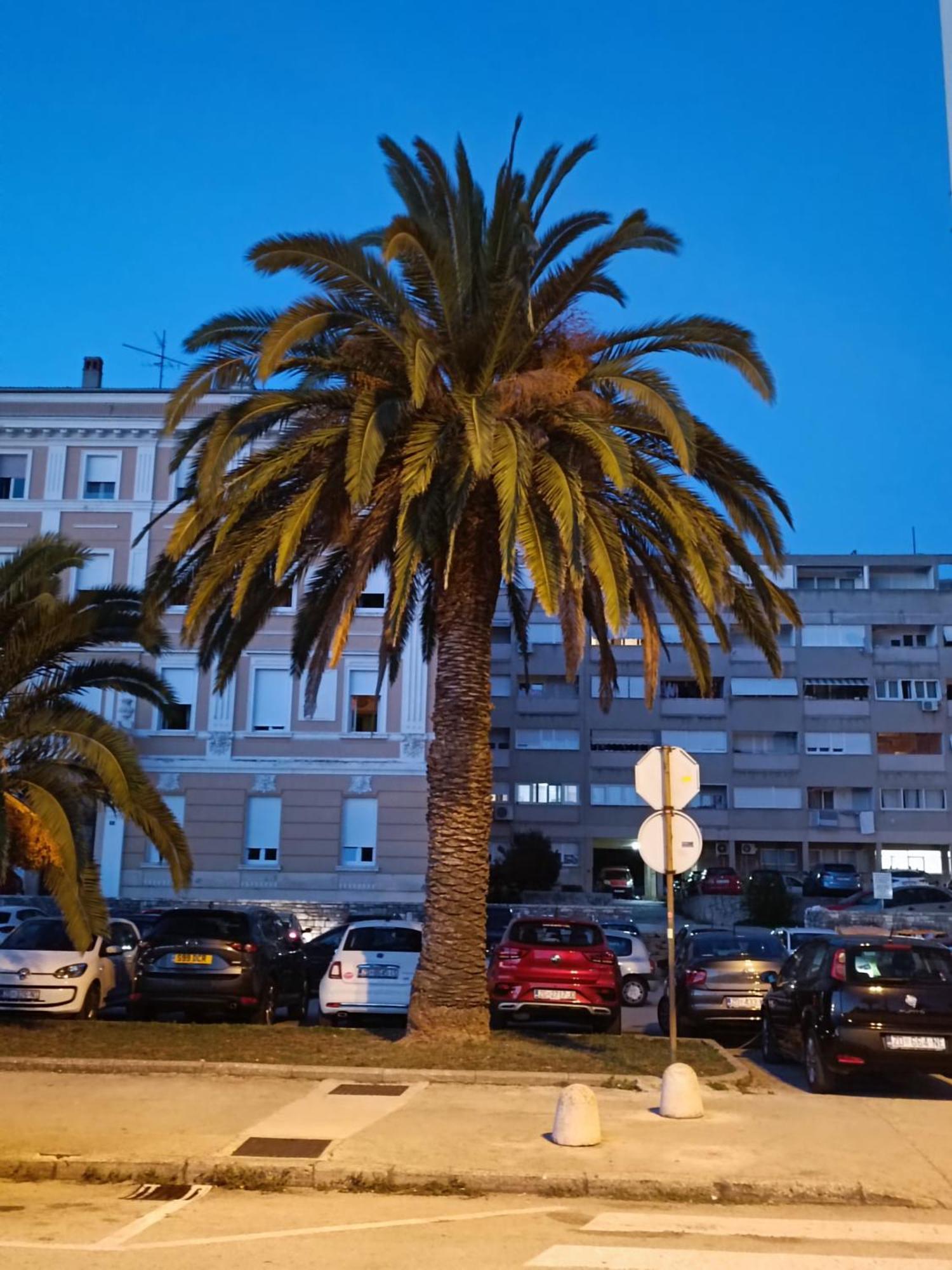 Zadar Beach Apartments מראה חיצוני תמונה